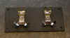 twin backplate 1.jpg (268333 bytes)
